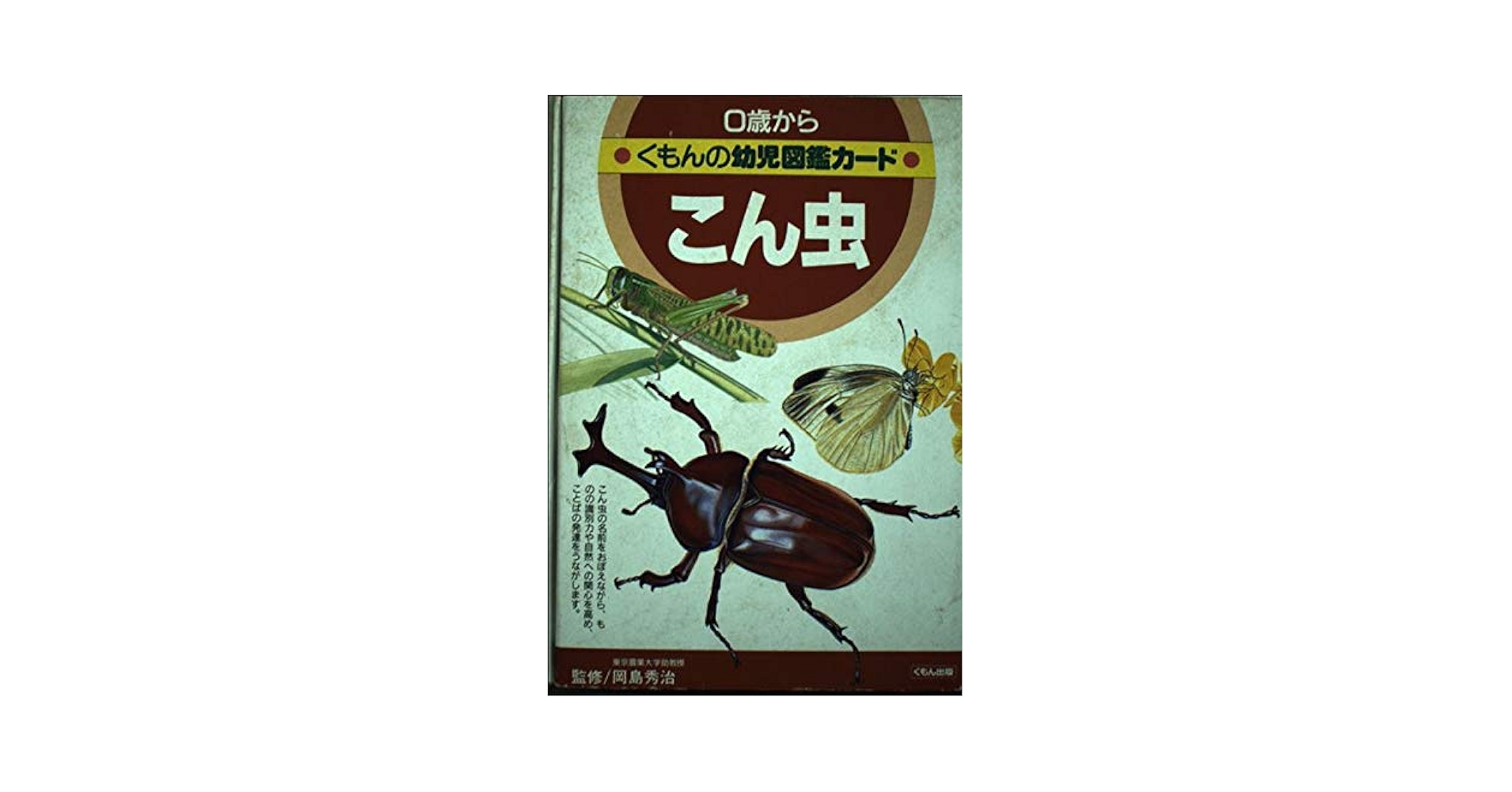 こん虫 (くもんの幼児図鑑カード) |本 | 通販 | Amazon