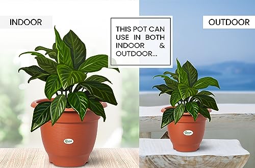 Green Live 12" Inch Round Shape Planter Pot With Tray | Flower Plant Pots for Home Balcony | Gamla Plant Pots Suitable For Terrace, Garden Etc | Indoor & Outdoor Home Gardening Plant Container Pot (Pack Of 4).