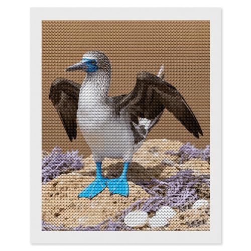 Peinture diamant 5D anti-stress oiseau pieds bleus toile numérotée lisible