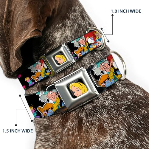 Collier chien résistant sangle large anti etouffement grand chien L - 3