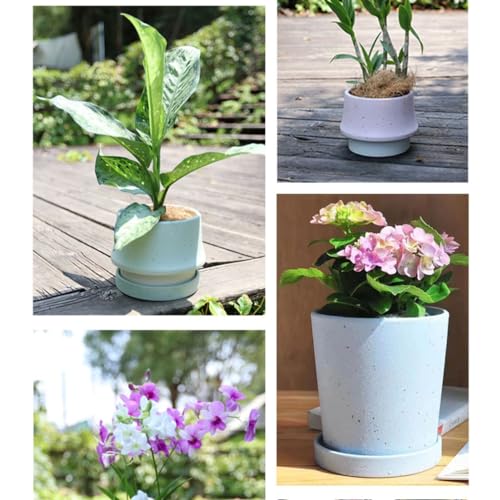 Pot de fleurs et récipients à fleurs en céramique pour croissance saine