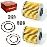 BIGLKNM 2 Pack Motorcycle Oil Filter with Spring O-Rings Compatible wtih KX250 2019-2025 KX250F