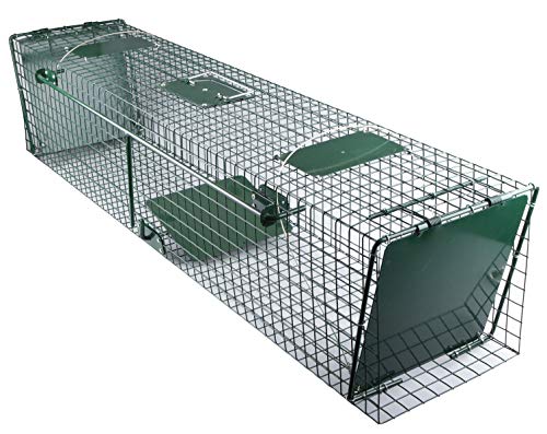 Preisvergleich Produktbild Windhager Kleintier- / Waschbär-Falle, Lebendfalle, Maderfalle, Tierfalle, Kastenfalle, Drahtfalle, tierschonender Lebend-Fang, robuste langlebige, 124 x 26 x 26 cm, 05331, grün