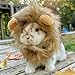HAICHEN TEC Bunny Wig Lion Mane Halloween Cosplay Hat Adjustable Pet Hat Lion Hair Cap Headwear for Small Animal Cat Rabbit Guinea Pig Dog Photo Shoot (S)
