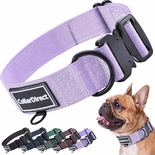 Robustes Hundehalsband für Große & Mittelgroße Hunde – Verstellbar, Doppellagiges Nylon, Metallschnalle, Reißfest & Ideal für Aktive Hunde (Flieder, Klein (28-38 cm))