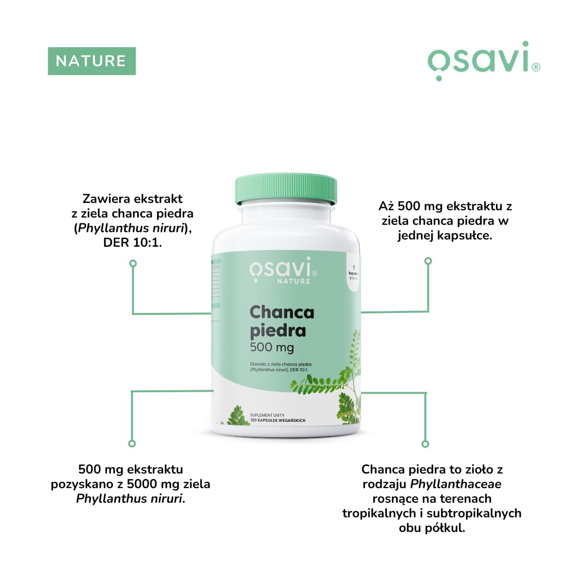 Osavi Chanca Piedra – 120 wegańskich kapsułek | Tradycyjna roślina | Ekstrakt z ziela chanca piedra | 500 mg ekstraktu w jednej kapsułce z 5000 mg Phyllanthus niruri | Clean Label | Dla Wegan