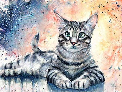 DIY Pintura al leo - Gato de pelo corto - Pintura por nmeros Adultos, nios y principiantes utilizan pinceles y pinturas acrlicas para la pintura artstica - 40X50cm (Sin Marco)
