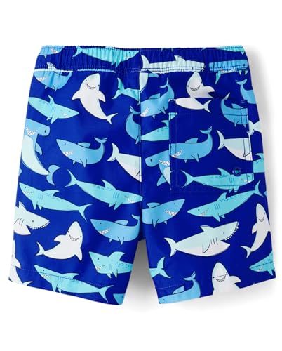 Image of Gymboree Boys and Toddler Swim Trunks