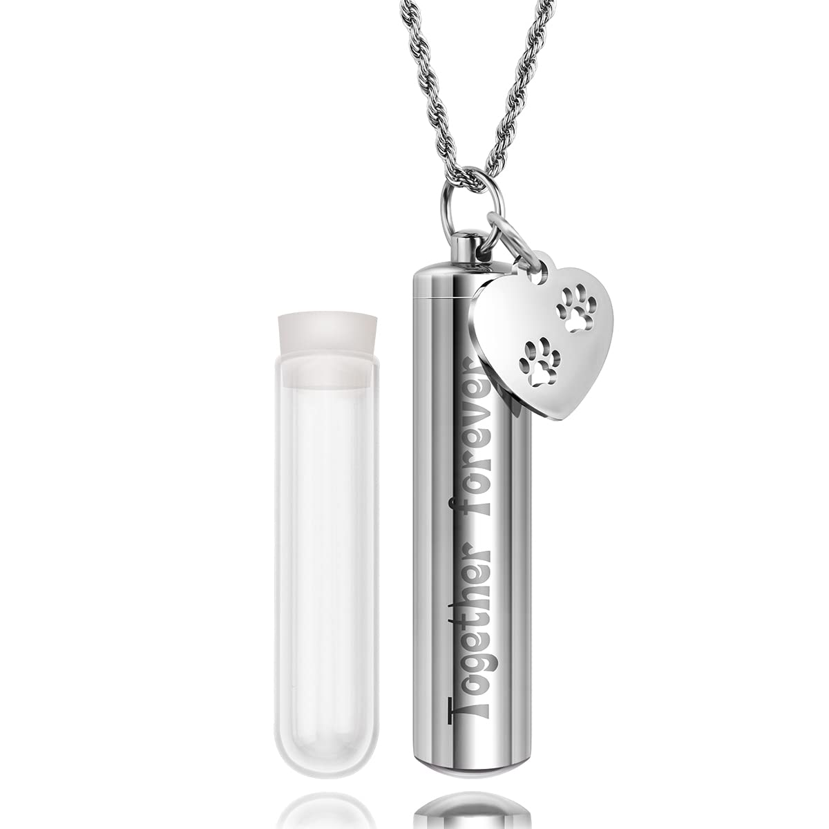 Can Dogs Smell Ashes