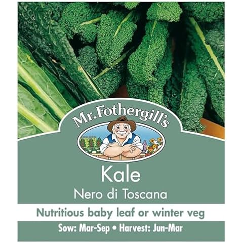 Mr Fothergill's Kale Nero Di Toscana Seeds Cover
