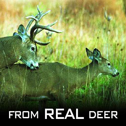 Outdoor Hunting Lab Hot Doe Estrus Scent - Deer Attractants for Whitetail Deer - Rut Scent Deer Attractant – Doe Urine for Hunting for Mock Scrape, Scent Drag – Deer Hunting Accessories (4 Bottle) - Thumbnail 7