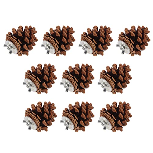 Pine Cone Bird Toy For Let, Bird Toys 10pcs Bird Bite Pine Co Pine Cone Chewing Bird Speelgoed voor Parakeet Cocl Conure Fi Budgie Aw - Afbeelding 6