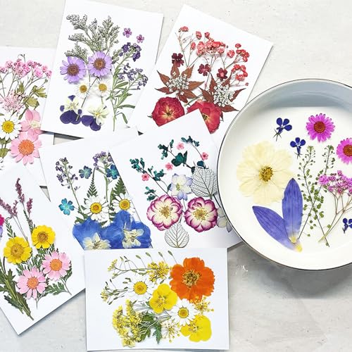 40 flores secas prensadas para resina y manualidades miniatura 3