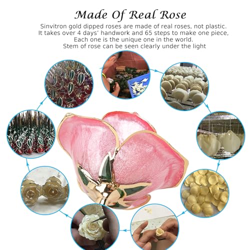 Sinvitron-Gold-Dipped-Rose-24K-Real-Rose-Long-Stem-Gold-Plated-Rose-with-Stand-Romantic-Gift-for-HerBirthday-Gifts-for-Her-24K-Golden-Rose-for-Anniversary-Valentines-Day-Mothers-Day-Sweet-Pink