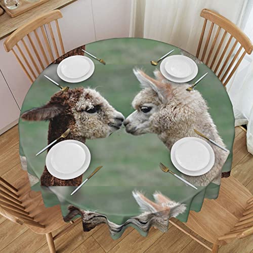 Koolr Funny Alpaca Print Round Tablecloth Waterproof Decorative Table Cover For Kitchen Dining Wedding Partie (60 In) #TOP18