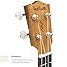 Kailua Soprano Ukulele for Beginners with Aquila Strings - 21 Inch Hand Crafted Mahogany Wood Ukulele Starter - Black Nylon Carrying Bag Included