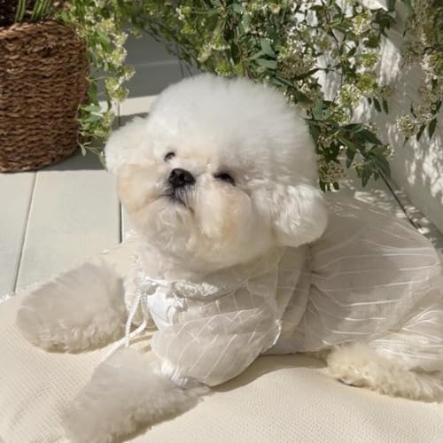 Ropa ligera transpirable para perro y gato talla XS blanca miniatura 5