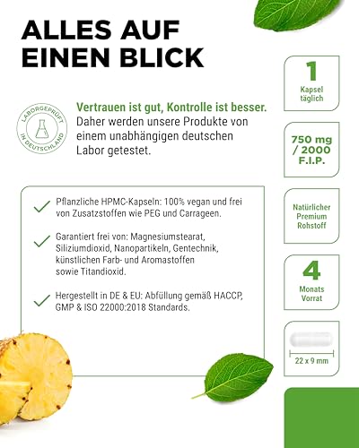 Bromelain Intenso - 750 mg (2000 F.I.P) - 120 magensaftresistente Kapseln - Natürlicher Ananas Extrakt - Laborgeprüft - Vegan - Hochdosiert
