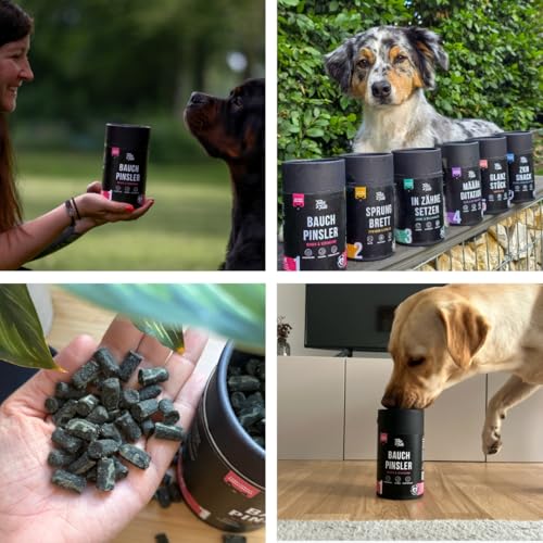 Tales & Tails - Bauchpinsler Verdauungs-Snack für Hunde | Für Allergiker Hunde | Getreidefrei | 1 Dose - 1 x 325g