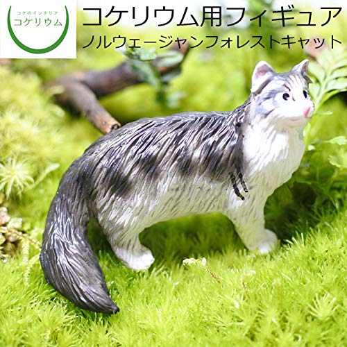 Amazon.co.jp: コケのインテリア コケリウム ガーデンオーナメント