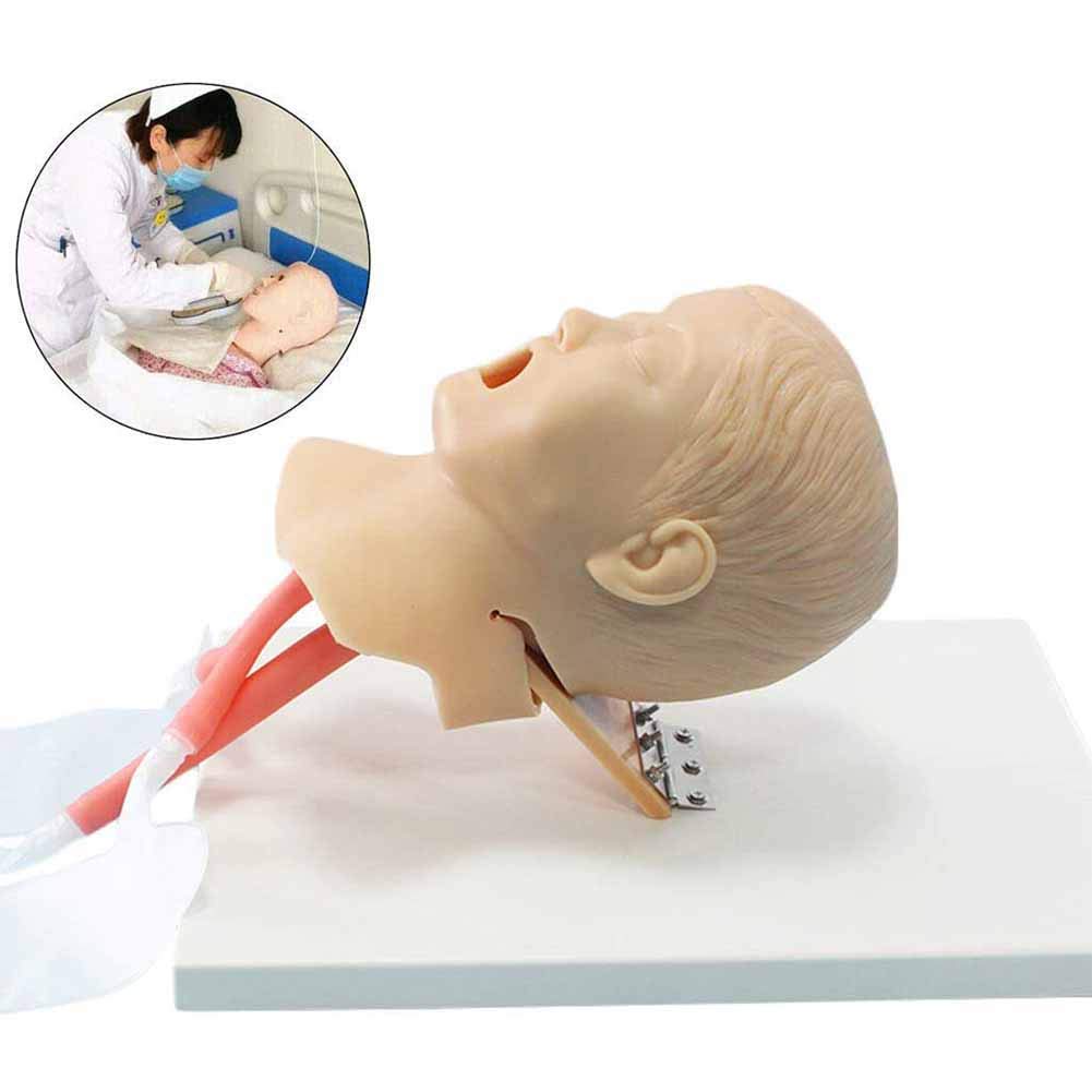 Buy BELIEVE Advanced Electronic Children Trachea Intubation Training Model, Airway Management
