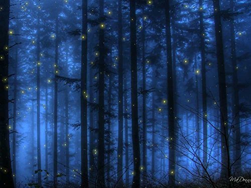 Fireflies in The Forest -Oil Painting On Canvas Modern Wall Art Pictures for Home Decoration Wooden Framed (12X16 Inch, Framed)
