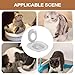 Cat Toilet Trainer Kit, No-Drill, Easy Setup, 39x36.5x26cm, Litter Training Tool, Suction Cup Cat Toilet, Suction Cup Base, for Kittens, Cats, & Apartment Settings