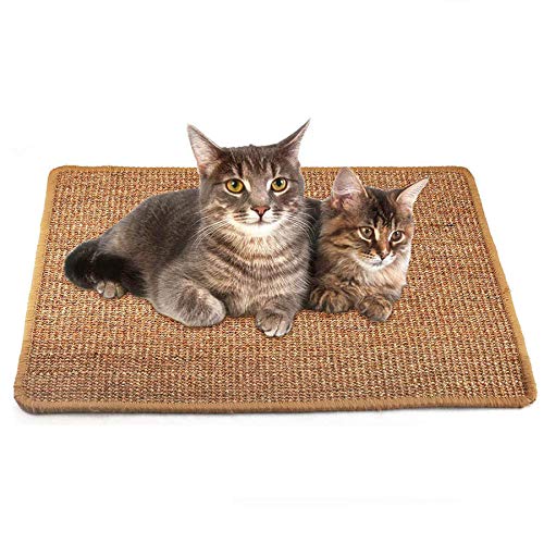 Top 10 Sisal Rug For Cats of 2022 Best Reviews Guide