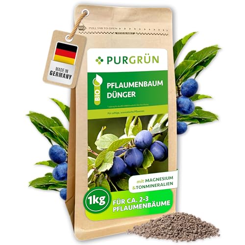 Bio-Mandelbaum-Dünger 1 Kg – Organisch-mineralisch, NPK 6+3+8 + 2% Magnesium, Für Reiche Ernte & Bodenverbesserung Bio-Mandelbaum-Dünger 1 Kg – Organisch-mineralisch, NPK 6+3+8 + 2% Magnesium, Für Reiche Ernte & Bodenverbesserung