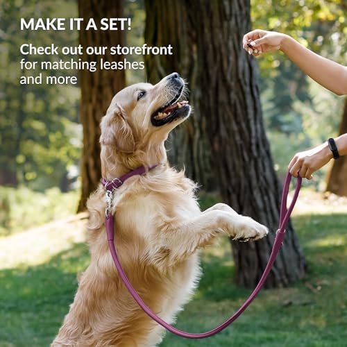 CollarDirect Rolled Leather Dog Collar, Soft Padded Round Puppy Collar, Handmade Genuine Leather Collar Dog Small Large Cat Collars (Pink Smooth, 30-35 cm) - 5