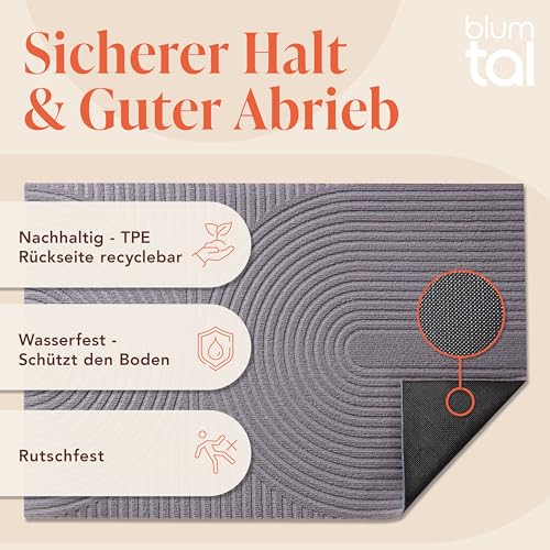 Blumtal Fußmatte 40x60 cm - rutschfeste Schmutzfangmatte - Fußabtreter mit Muster - Fußmatten Haustür - Türmatte aus Polyester - Fußmatte innen/Schmutzfangmatte außen/Türvorleger Hellgrau