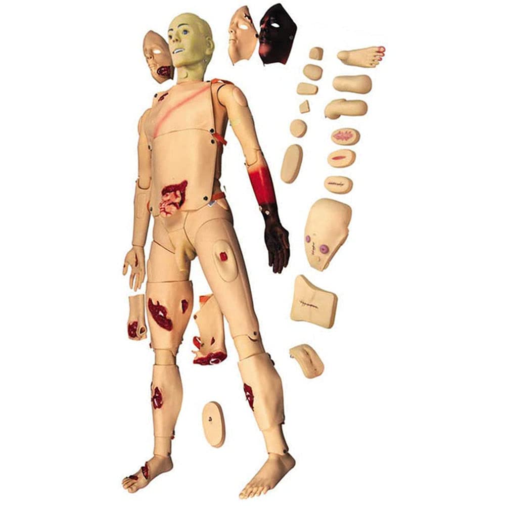 Mannequin De Simulation pour La Formation Aux Premiers Secours, Les Soins des Plaies, La Formation Médicale Et l'enseignement des Interventions d'urgence Et des Soins De