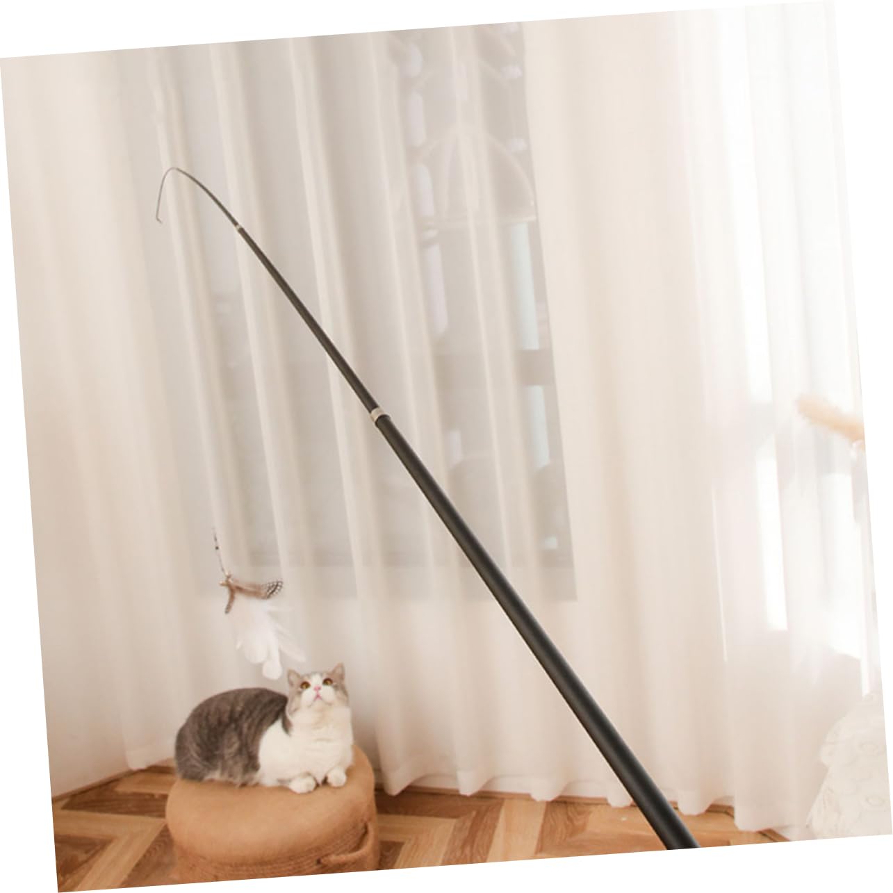 Kisangel 8stücke Telescopic Katzenangel Mit Bunten Federn Interaktives Spielzeug Jagdinstinkte Für Katzen Verlängert Für Stundenlangen Spielspaß