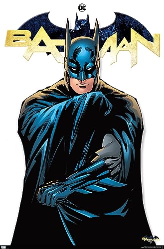 DC Comics Batman Feature Series Wall Poster