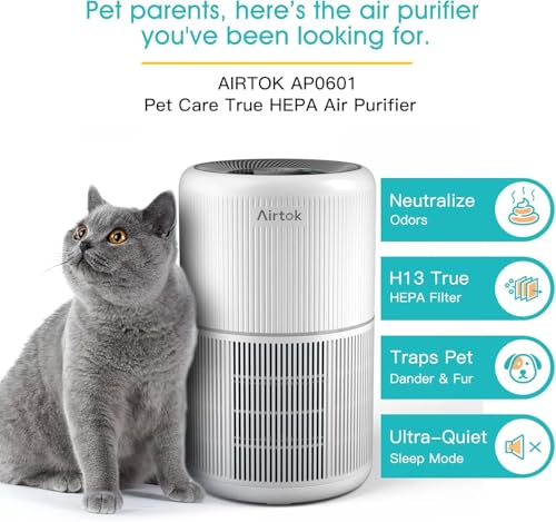 AIRTOK Purificador de ar, purificador de ar com esponja de fragrância, filtro HEPA para alergias, fumo, caspa de animais de estimação e odores, com luz noturna, temporizador, bloqueio para crianças