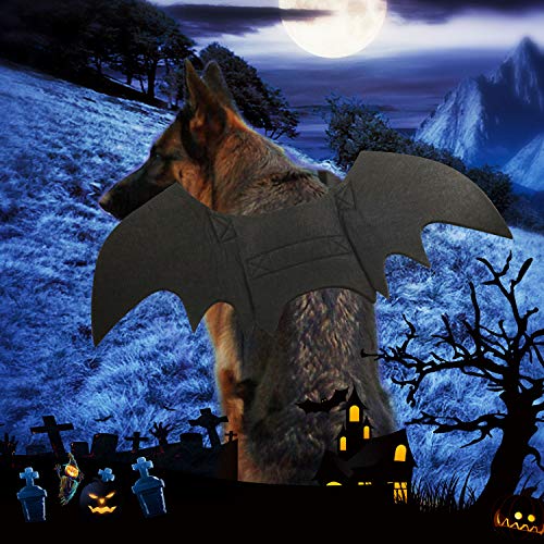 Rypet Dog Bat Costume - Halloween Pet Costume Bat Wings Cosplay Dog Costume Cat Costume For Party Xl #TOP6