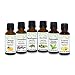 ZAQ Aromatherapy Top 6 100% Pure Therapeutic Essential Oil Gift Set- 1 Oz (Lavender, Tea Tree, Eucalyptus, Lemon, Orange, Peppermint)
