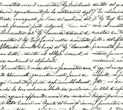 Set of 2 Individual Decoupage Paper Party Napkin Script Handwriting Watercolor Decor Luncheon Napkins for a Birthday Holiday, Wedding, Cocktail Party