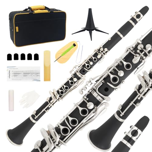 Rsasi Bb Clarinet - Band Clarinet for Beginner, with, Mouthpiece, Hard Case Bag and Cleaning Kit(Black)