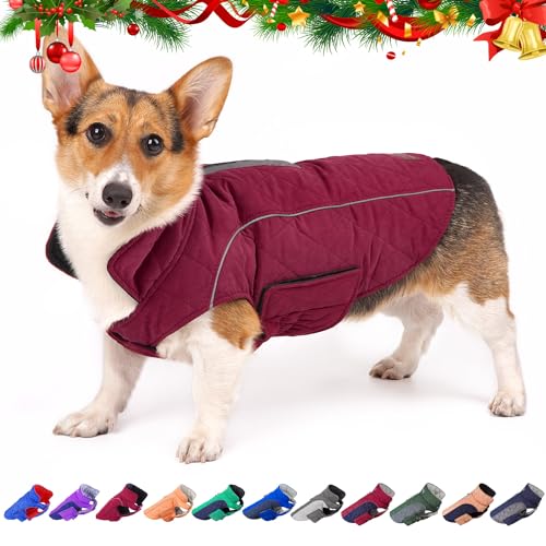 The 10 Best Winter Jackets For Bulldogs 2024 Dog Fluffy