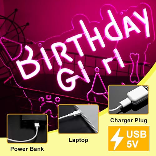 Image of Girl Dog Birthday Neon Sign Birthday Decorations Pet Puppy Birthday Party Gifts for dog lovers-14.5 x 12.2 Inches-USB Powered-Acrylic