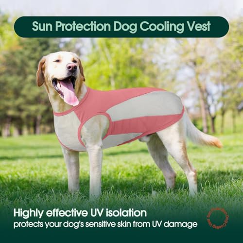 Kuoser Kühlweste Hund, S Hundekühlweste Sommer, UV-Schutz Shirt, Atmungsaktive Kühljacke, Leichte Sonnenschutz-Bekleidung, Insektenschutz für Outdoor, Must-Have für heiße Tage, Rosa