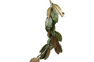 Serene Spaces Living 50" Artifical Magnolia Garland