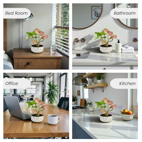 Image of Amulya Farms Indoor Plants for Home | Syngonium Pink Live Plant in Premium Floral Print Metal Pot | Air Purifying Plants for Home Decor, Living Room and Office Decoration