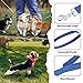 Hundeleine, Nylon, 152 cm, 12 Farben, Welpenleine, Lange Leine, Welpen-Zugseil für kleine, mittelgroße Hunde, Training, Spielen, Camping oder Hinterhof, leuchtende Farben, 12 Stück