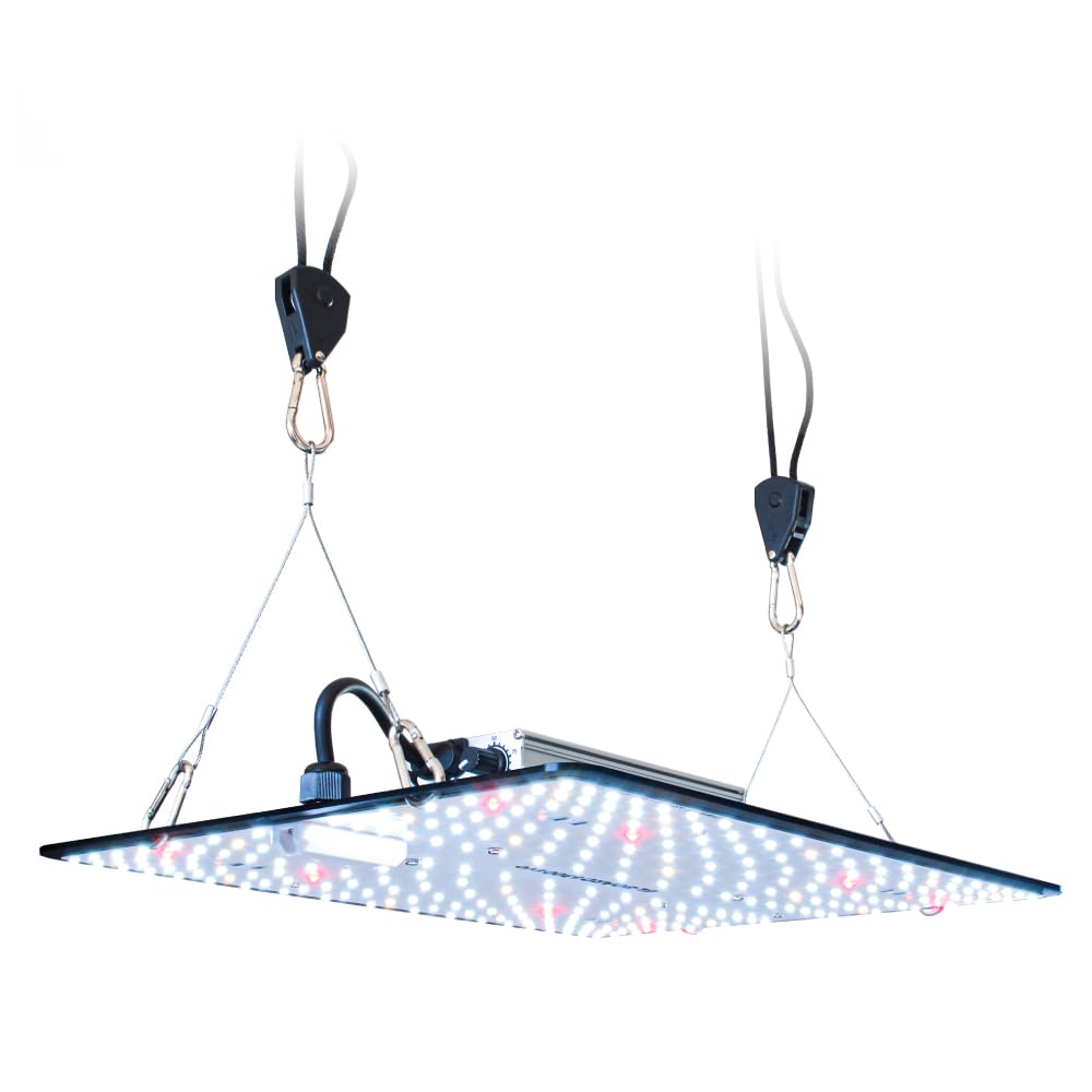 HaruDesign 植物育成LEDライト GL-BOARD 5000 ほぼ新品 Amazon.co.jp: HaruDesign 植物育成ライト（ 単独使用/育成テント向け