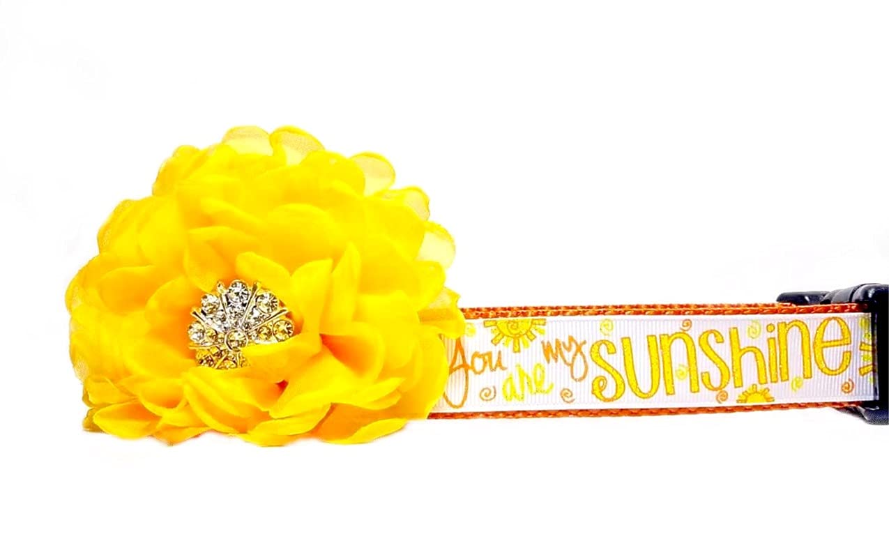 silicate absorbing resin