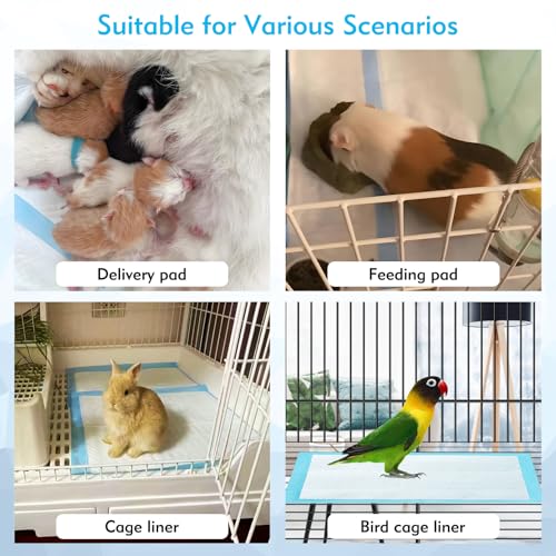 Image of Fhiny 100 PCS Rabbit Pee Pads 13 inch x 18 inch Thicken Bunny Cage Pee Pads Disposable Super Absorbent and Leak-Proof Potty Pad for Kittens Guinea Pigs Chinchillas Hamsters and Other Small Animal