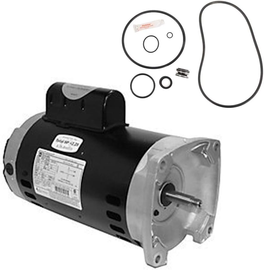 Puri Tech Replacement Motor Kit for Sta-Rite Max-E-Pro 2HP P6RA6G-207L AO Smith USQ1202 with GO-KIT-79