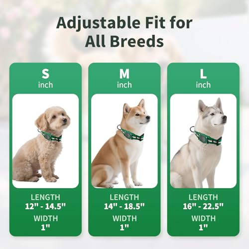 PetIsay Wasserdichtes Hundehalsband mit integriertem AirTag-Halter, IP68-bewertet, reflektierend, verstellbar, Biothane-Halsband für kleine, mittelgroße und große Hunde (Grün, L)